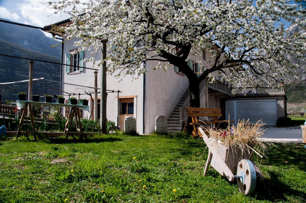 B&B La Fosina Mezzolombardo Εξωτερικό φωτογραφία